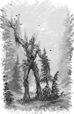 Ent Anciano.png Ent Anciano.png