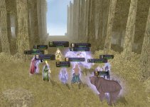 Patrullas Humedales, Enclave Esmeralda.jpg
