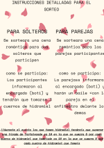INSTRUCCIONES DETALLADAS PARA EL SORTEO(1).png