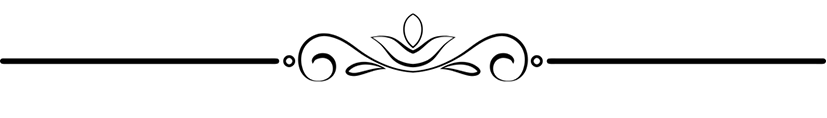 vector 6.png