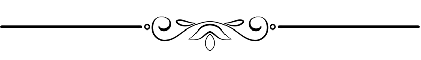 vector 6 invertido.png