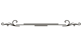 —Pngtree—simple line with classic leaves_8998094.png