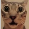 1728305424316.png