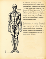 Proyecto nuevo (13).png