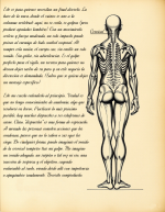Proyecto nuevo (14).png