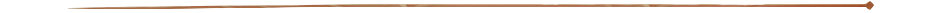 z01.png