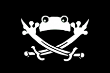 PirataSapo.png