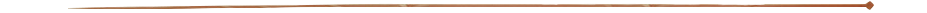 1735209311738.png