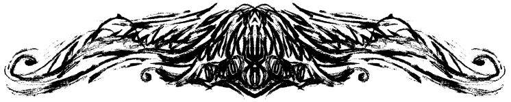 separador_ilmthel03.png