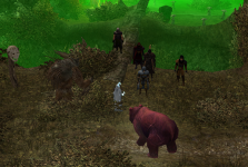 feiwild3.png