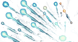 Proyecto nuevo (40).png