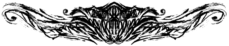 separador_ilmthel02.png