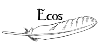 titulo 4.png