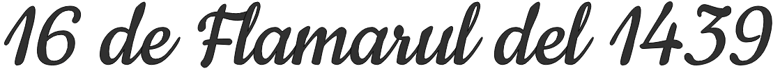 Proyecto nuevo (79).png