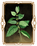 05Planta.png