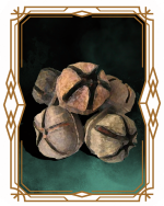 08Semillas.png