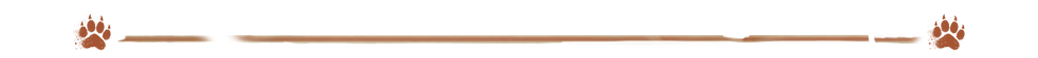 cabecera.png