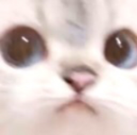 1749314232581.png