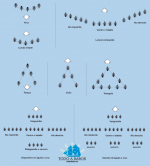 formaciones-romanas.png formaciones-romanas.png