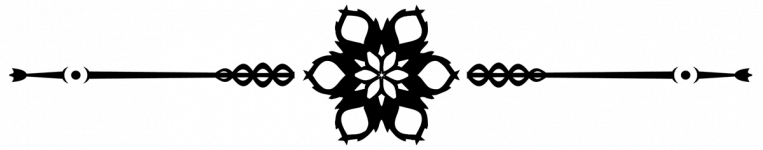 —Pngtree—simple separator material_2402070.png