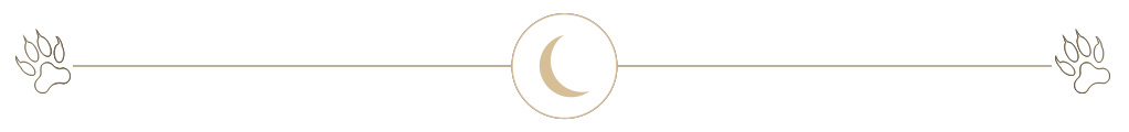 separador-luna.png