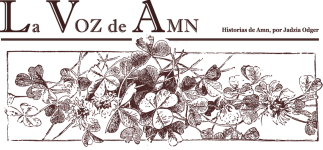 Periodico_historiasAmn.png