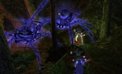 aRAÑAS 3.jpg