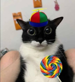 1785583811443.png