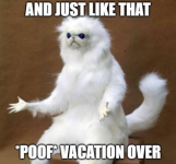 1787653392507.png