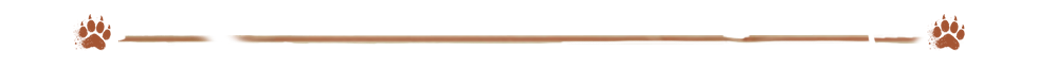IMG_7364.png