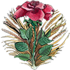 1791878922013.png