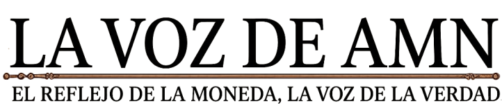 VOZ DE AMN REMAKE (1).png