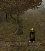 1672294971161.png