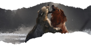 Bear vs wolf PNG.png