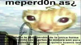 1691023475716.png 1691023475716.png