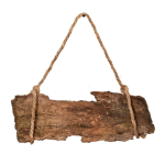 1693854374715.png