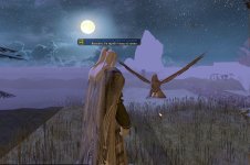 El Bosque 5.1.jpg